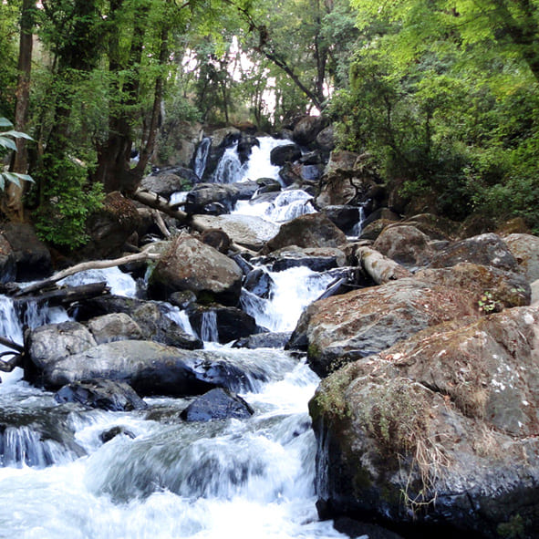 Explora las cascadas y bosques  – VALLE DE BRAVO, PUEBLOS MÁGICOS